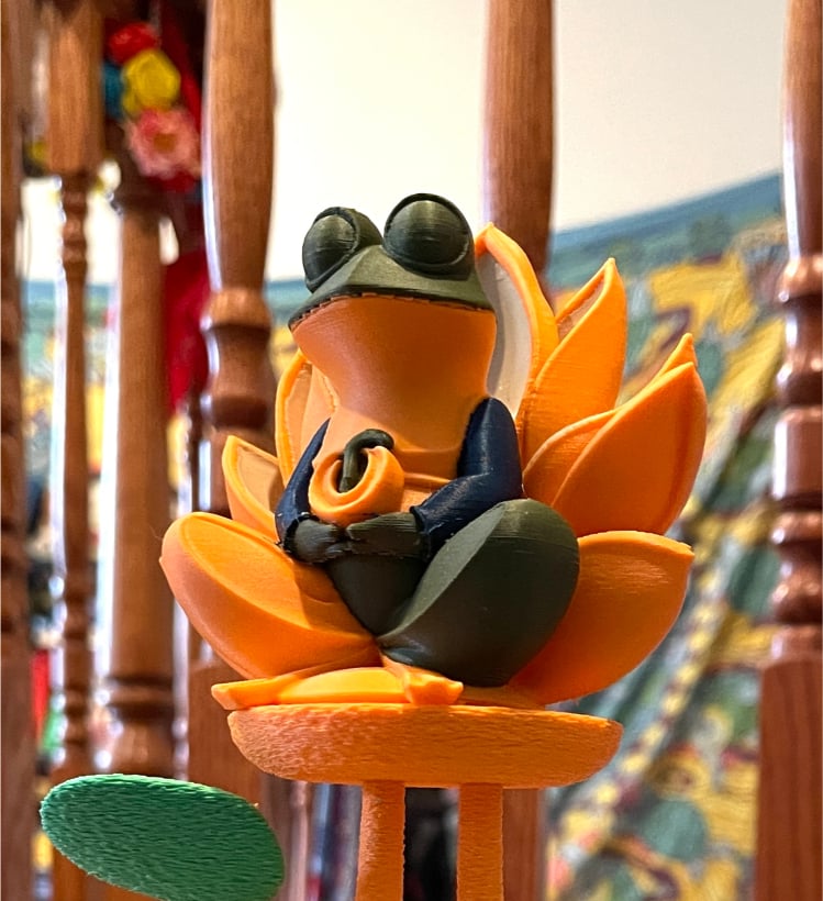 Zen Frog